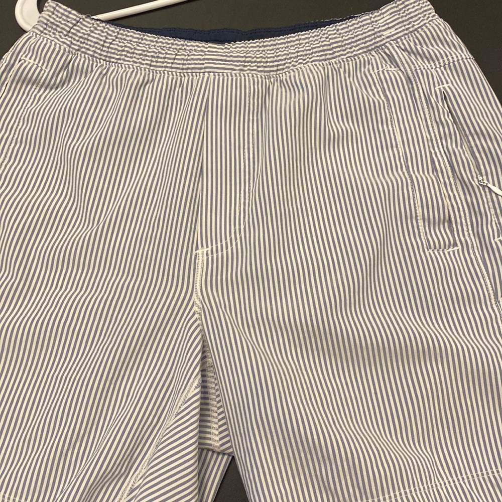 Birddogs Striped Shorts w/ Liner